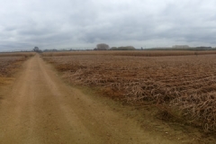 photo-2