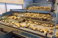 30 006